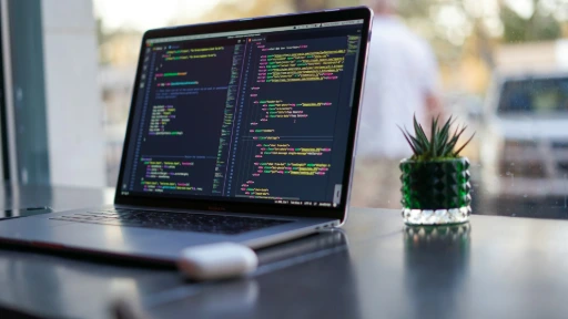 vue écran developpeur odoo qui personnalise a 100% le logiciel client pendant implémentation à Lausanne